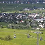 Krone Ruedesheim 2* روديسهايم ام رين