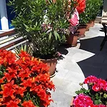 Krone Ruedesheim فندق روديسهايم ام رين