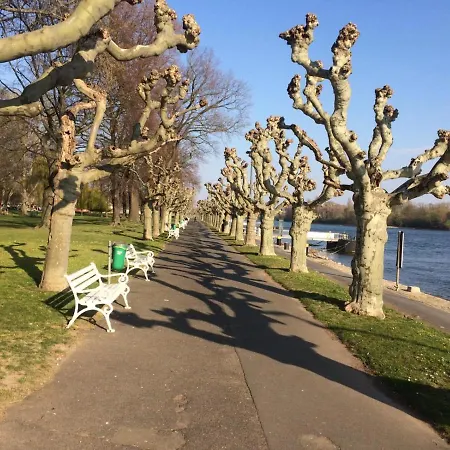 Krone Ruedesheim فندق روديسهايم ام رين