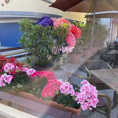 Krone Ruedesheim فندق 2*