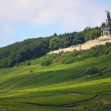 Ξενοδοχείο Krone Ruedesheim Rüdesheim am Rhein
