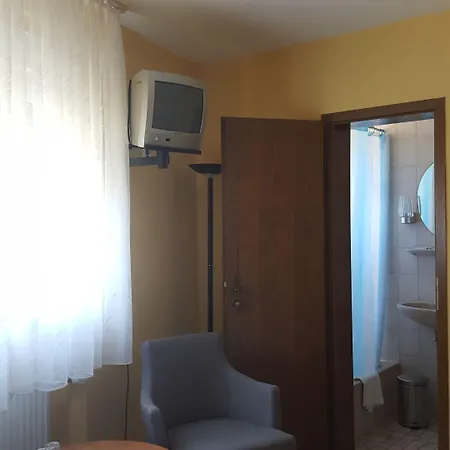 فندق Krone Ruedesheim 2*