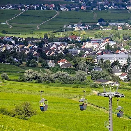 Hotel Krone Rüdesheim 2*