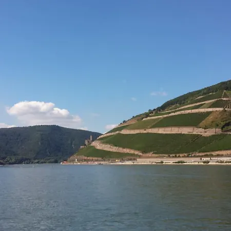 Krone Ruedesheim Ξενοδοχείο