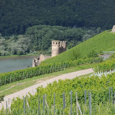 Krone Ruedesheim Ξενοδοχείο