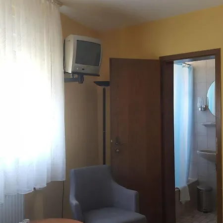 Ξενοδοχείο Krone Ruedesheim 2*