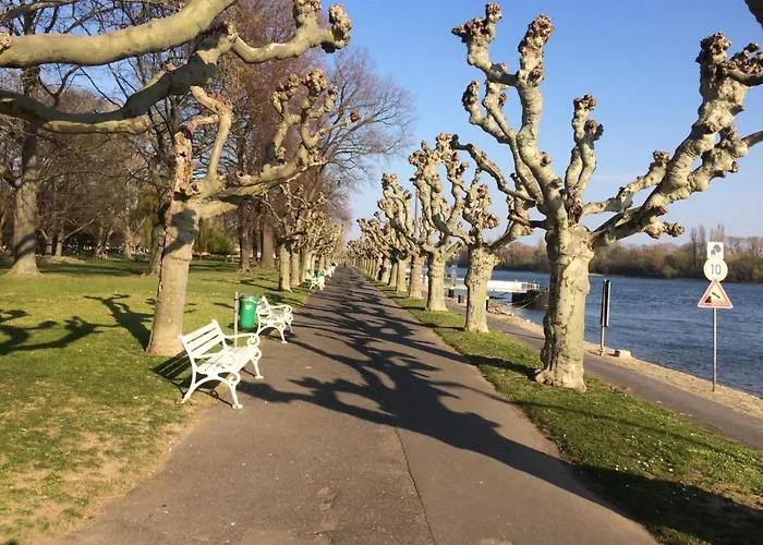 Krone Ruedesheim Hotel Rüdesheim am Rhein