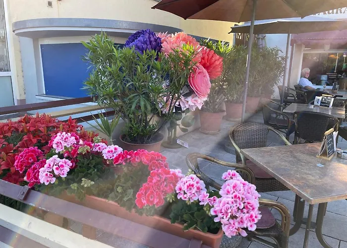 Krone Ruedesheim Hotel 2*