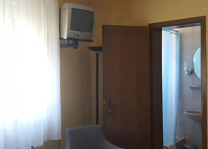 Hotel Krone Ruedesheim 2*