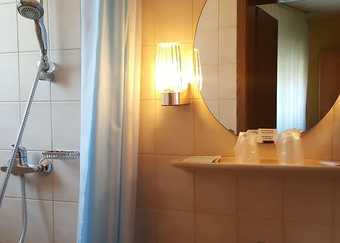 Hotel Krone Ruedesheim 2*