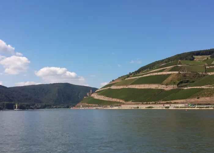 Krone Ruedesheim Hotel 2*