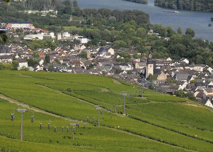 Hotel Krone Ruedesheim 2*