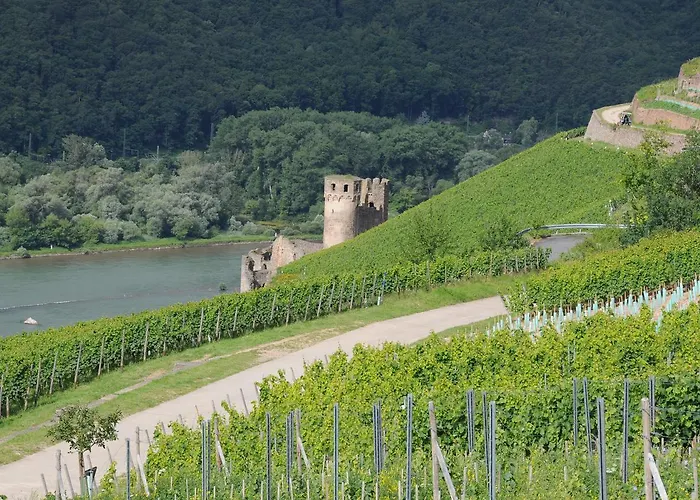 Krone Ruedesheim Hotel